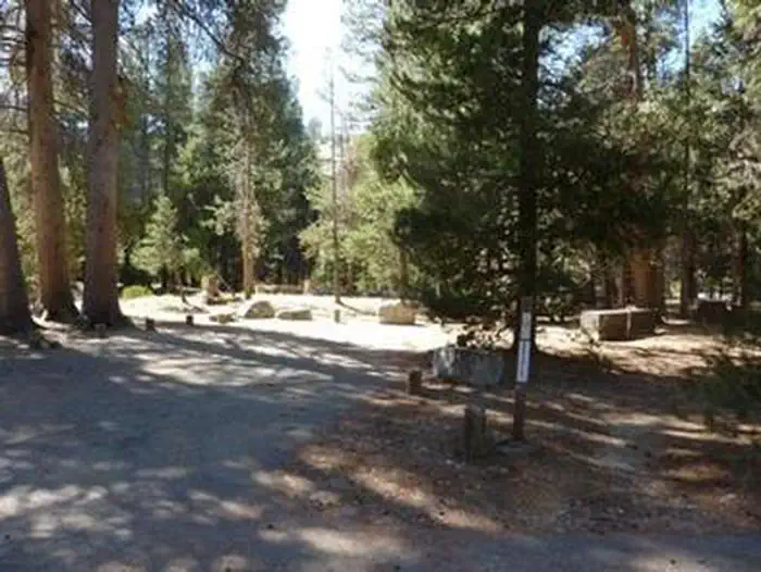 Campsites in a shaded grove