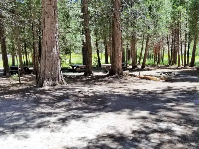 Long Meadow Group