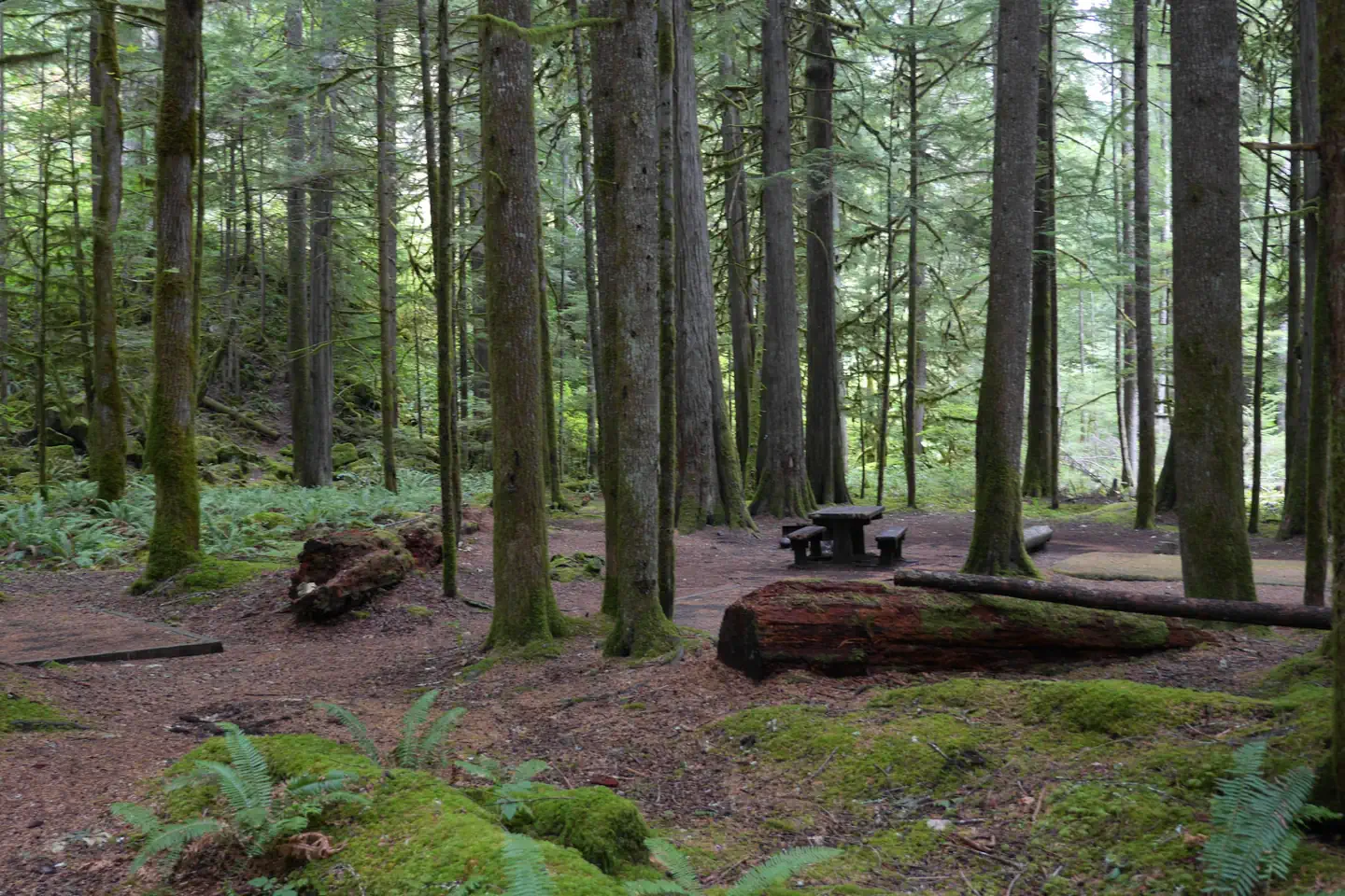 North Fork Campsites