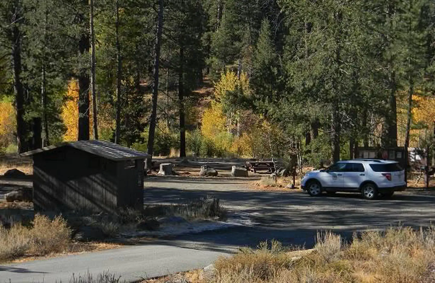 Road leading into Lower Little Truckee Campground.
