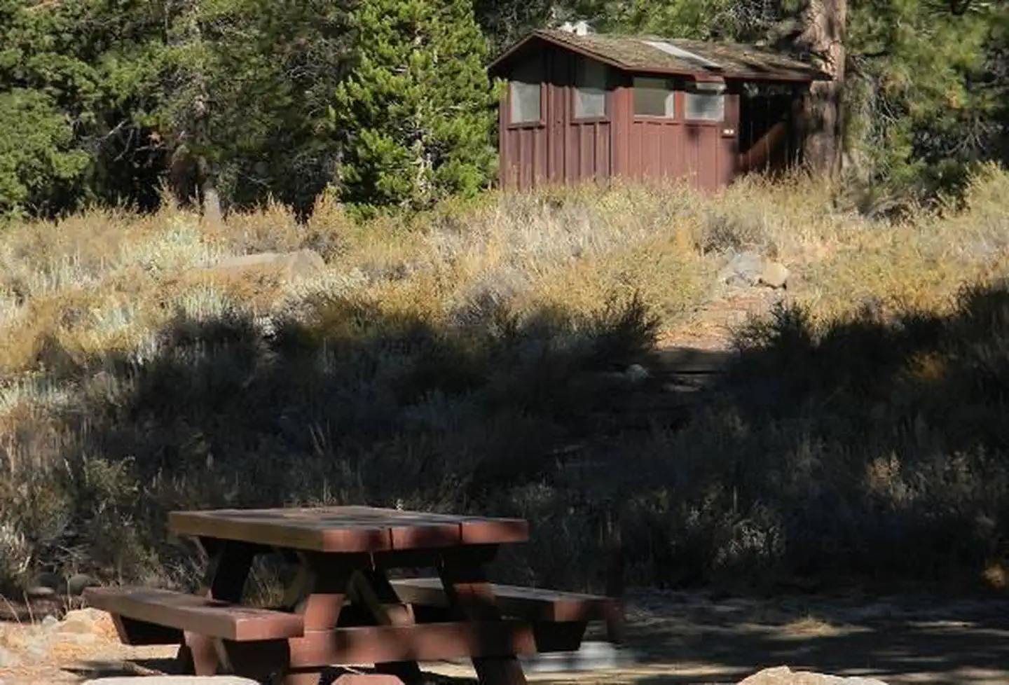 LOWER LITTLE TRUCKEE