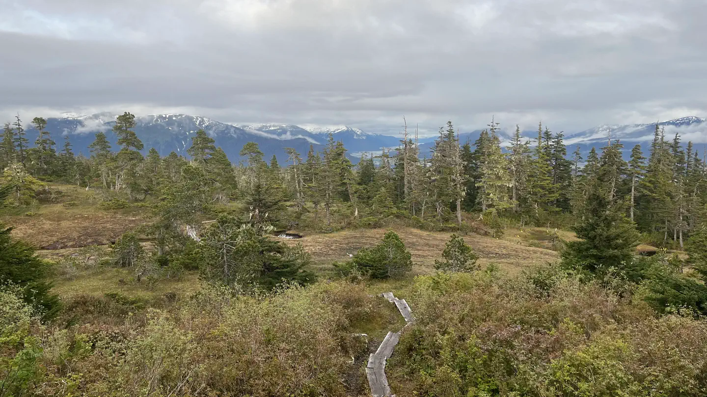 JOHN MUIR CABIN