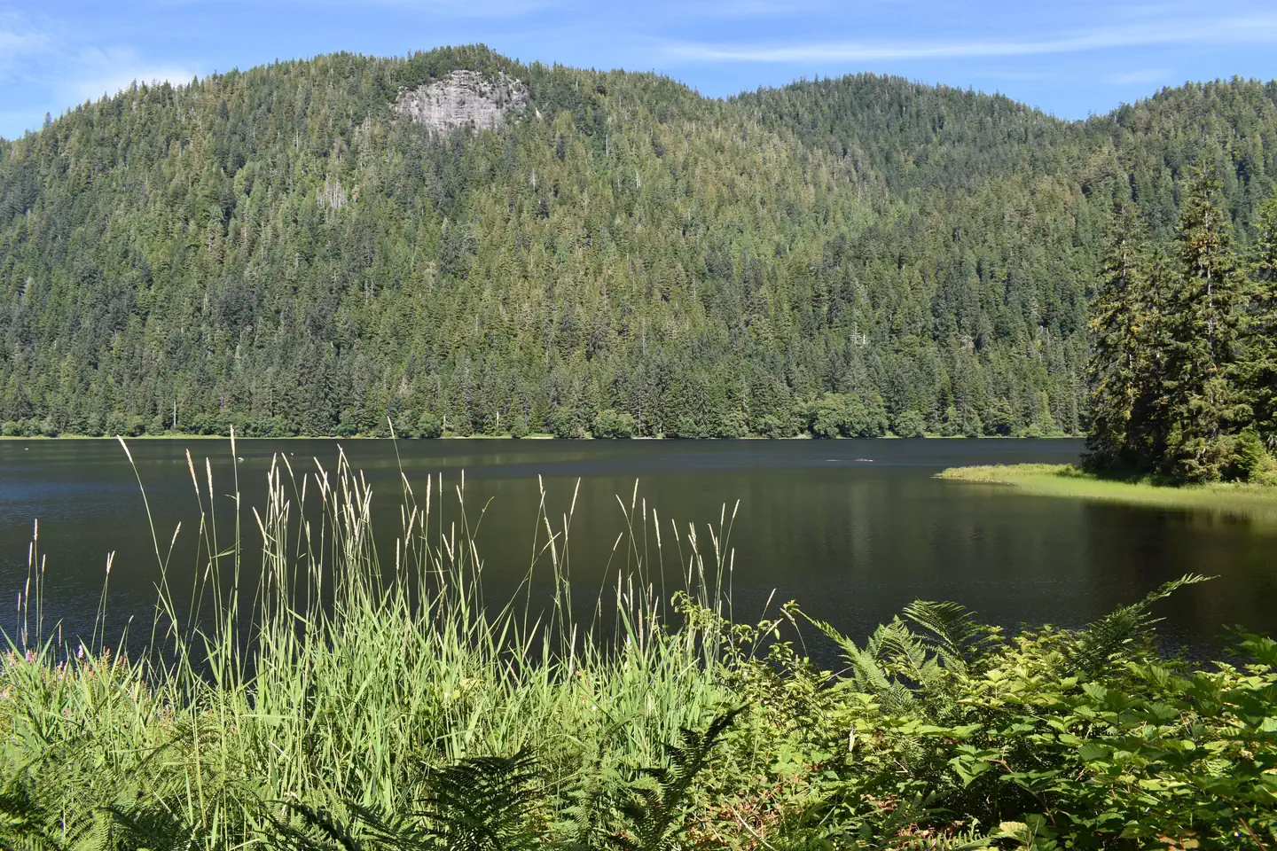 Heckman Lake from Cabin