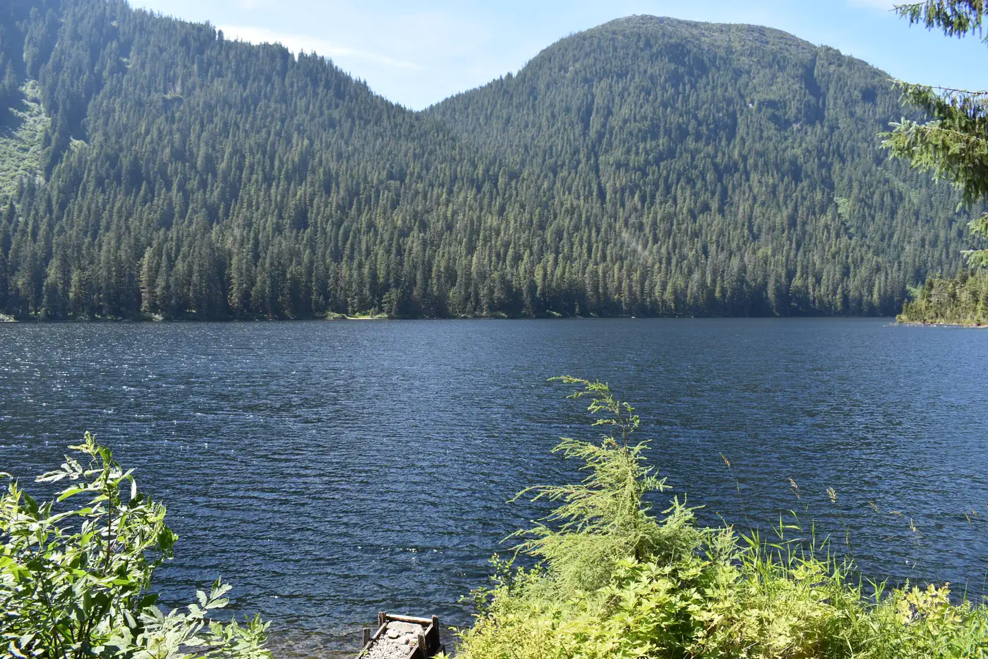 Reflection Lake from Cabin