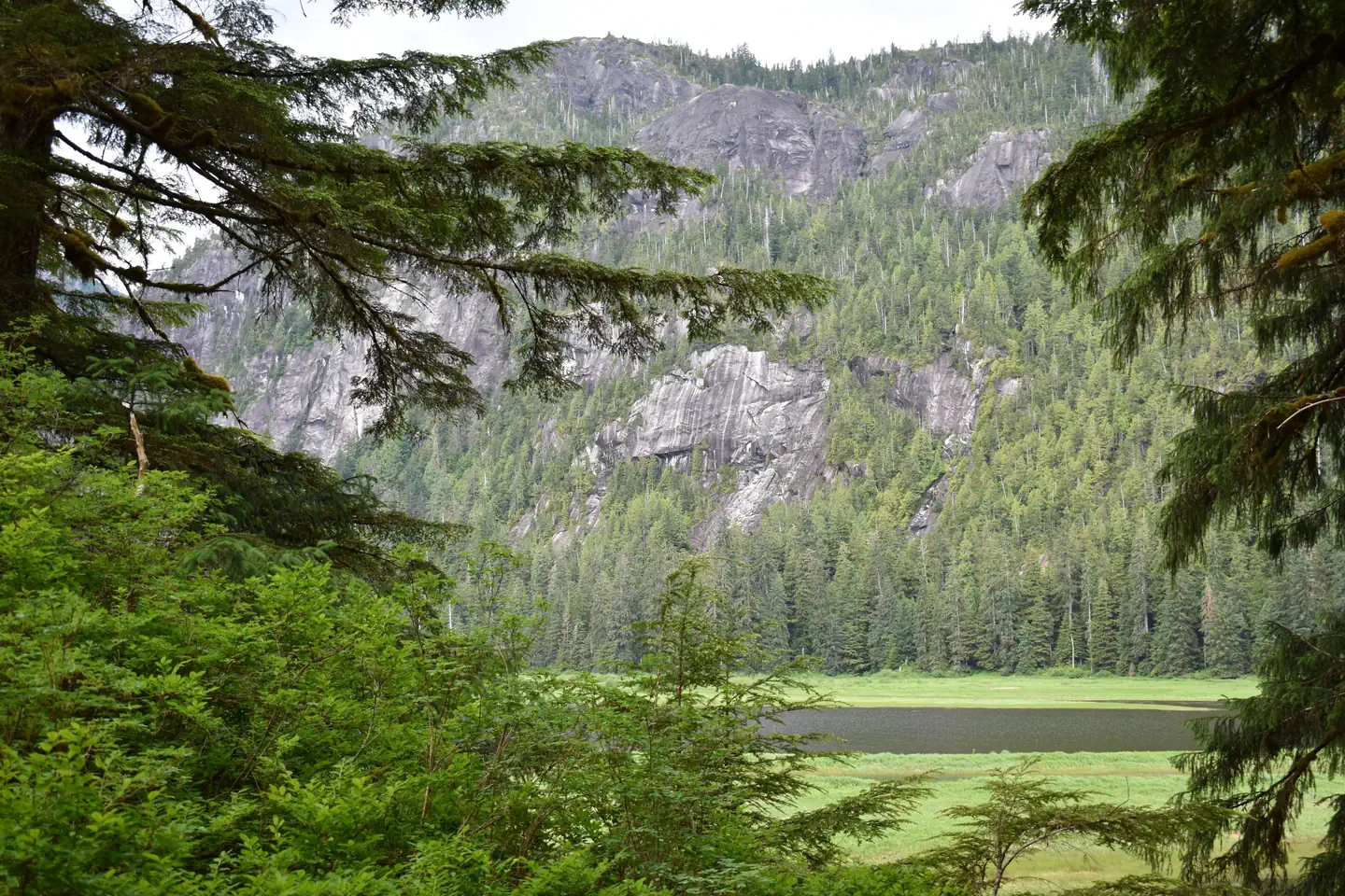 Manzanita Lake from cabin