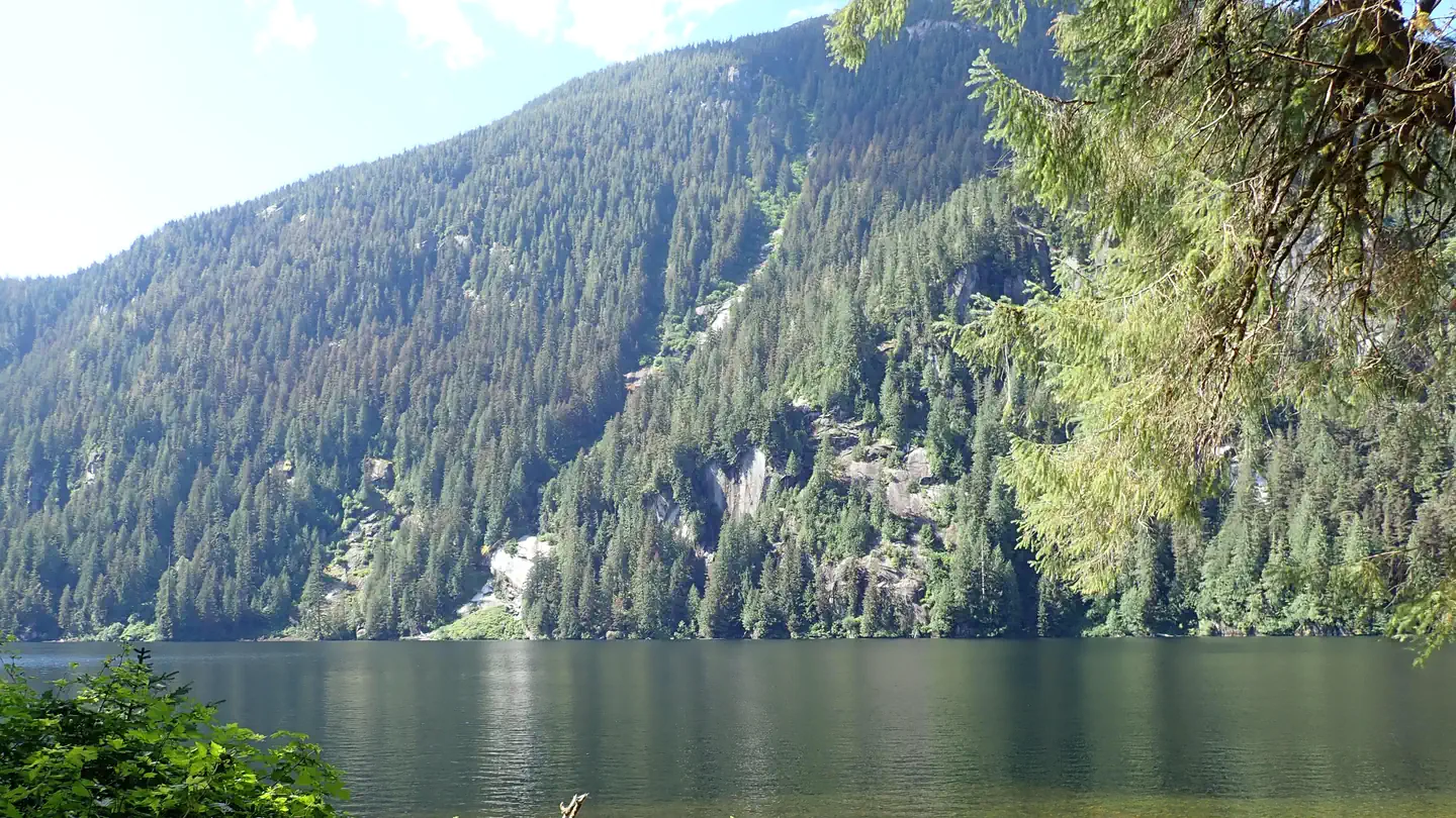WILSON VIEW CABIN