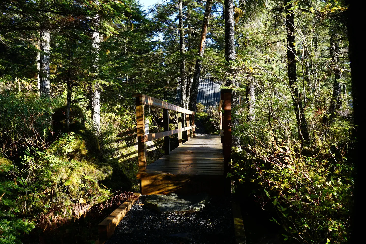 Cabin Bridge