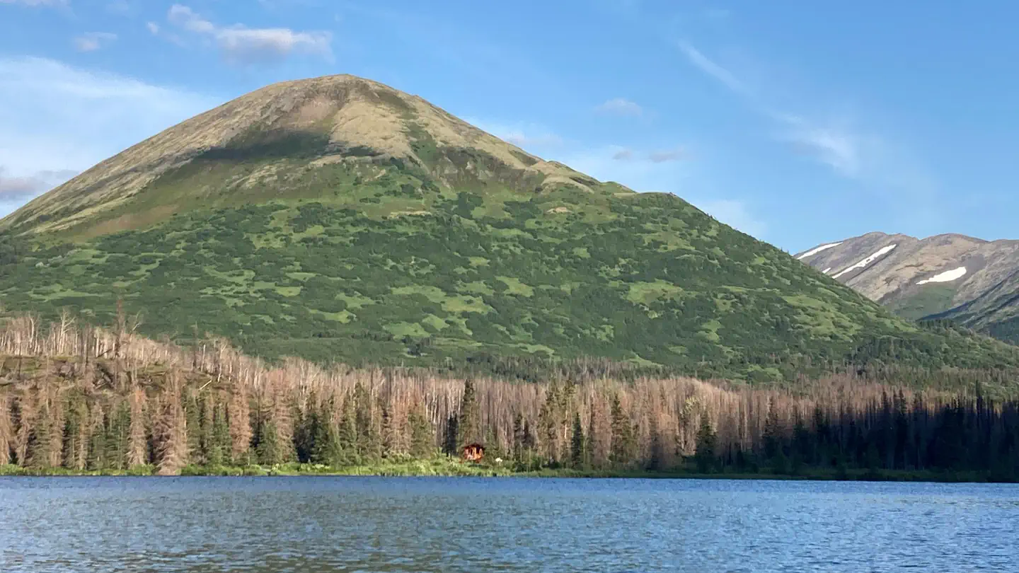 ROMIG CABIN