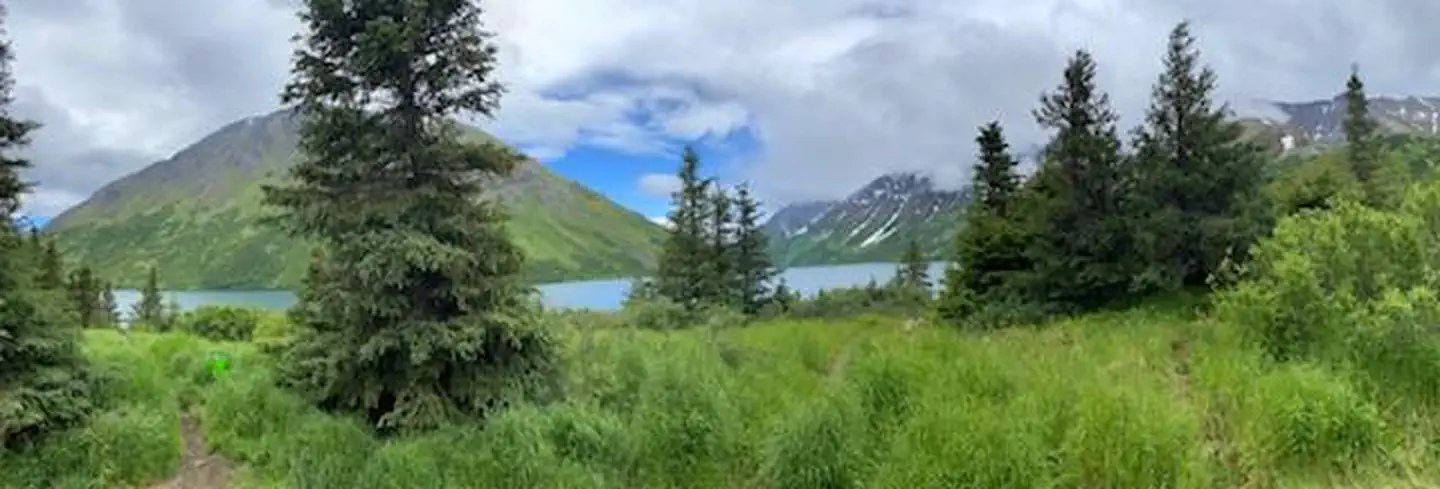 Lake view.
