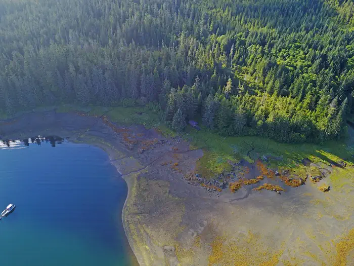 APPLETON COVE CABIN4