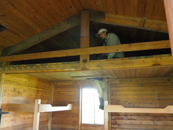 Gut Island Cabin 1 interior with someone in the loft and someone climbing up the ladder by wooden bunkbeds