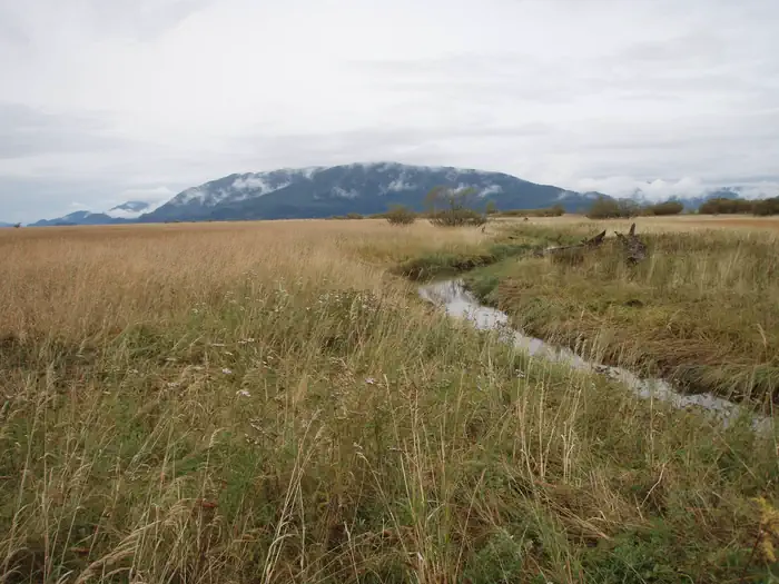 Sergief Slough cutting through the grassflats with mountains in the background