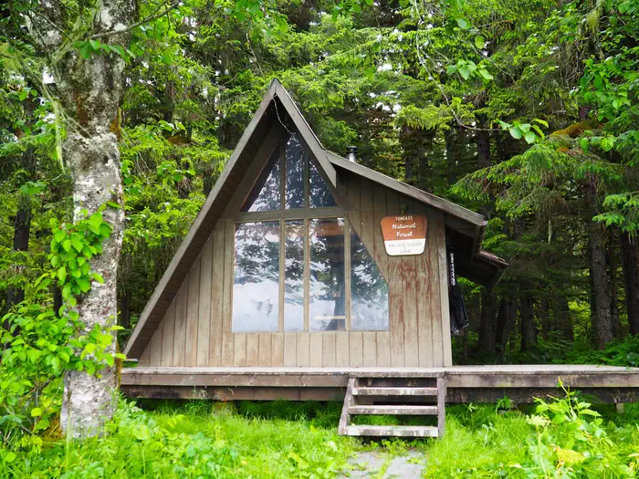 Mallard Slough Cabin exterior brown cabin with slanted roof with trees surrounding it