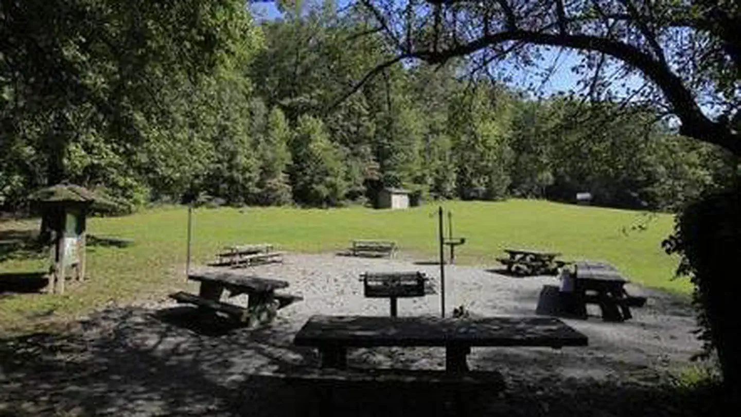 COVE CREEK LOWER GROUP CAMP