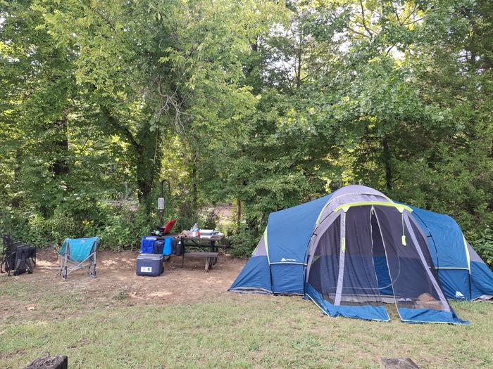 A blue tent sits on a campsite with a thick row of green trees behind the tent.