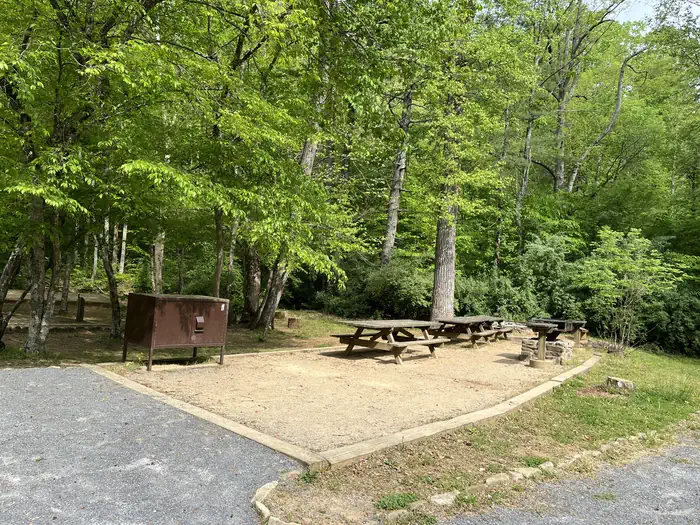 Gravel tent pads surrounded by grass. Tent site contains wooden picnic tables and a brown bear pro storage box.