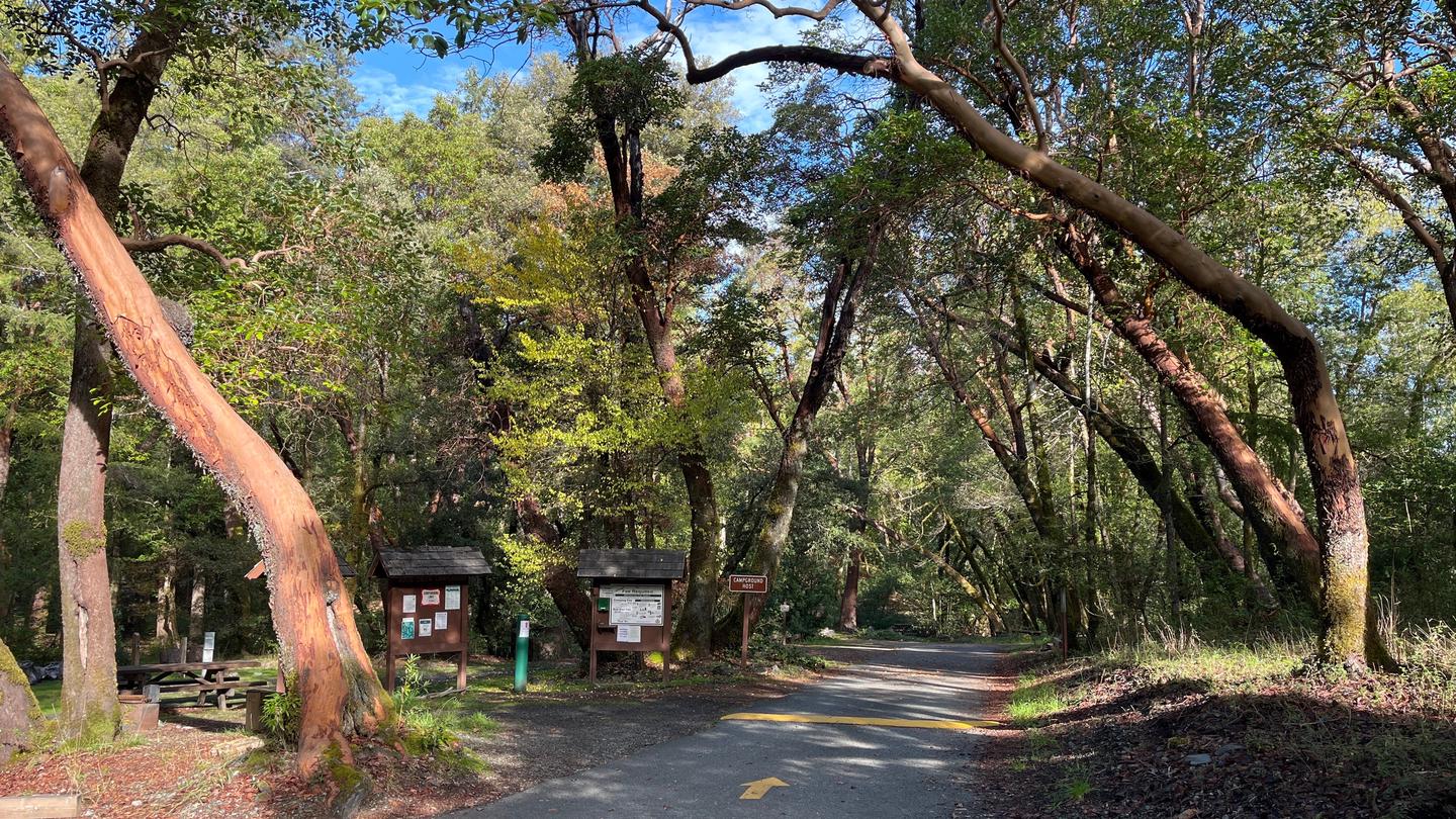 BOISE CREEK