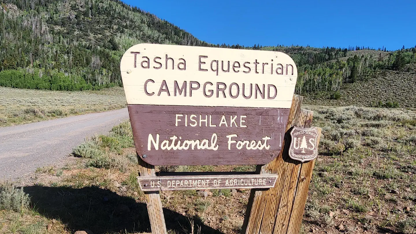 TASHA EQUESTRIAN