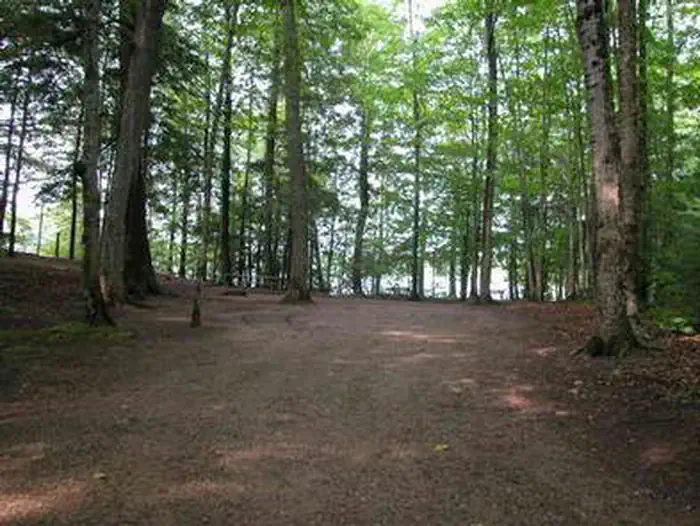 Pete's Lake Campground Site