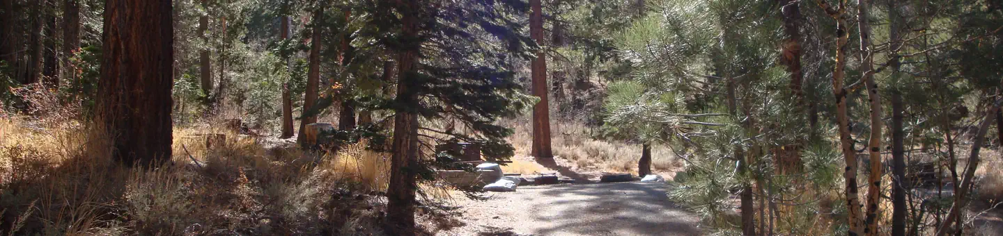 REVERSED CREEK CAMPGROUND