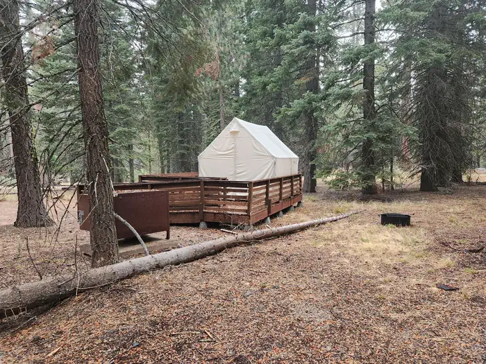 T1 and T2 Glamping tents