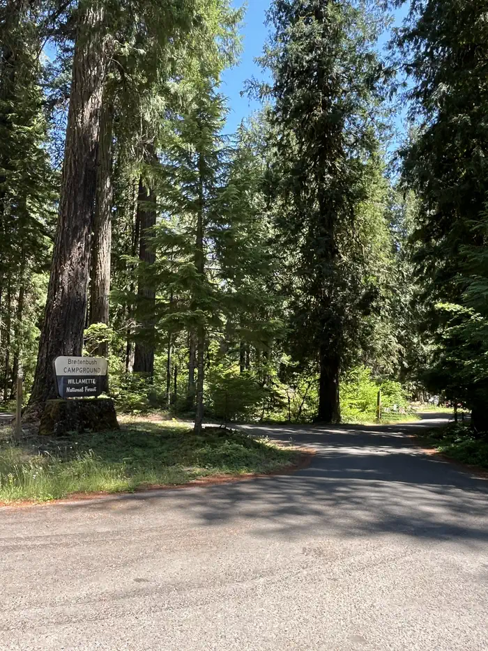 BREITENBUSH CAMPGROUND