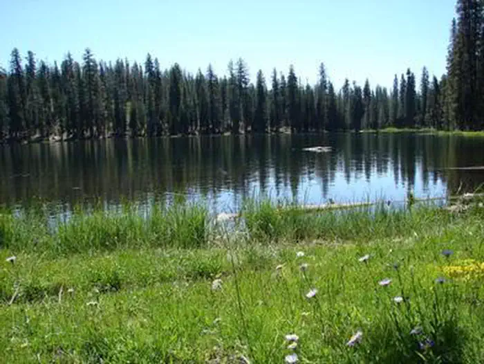 Juniper Lake Preview