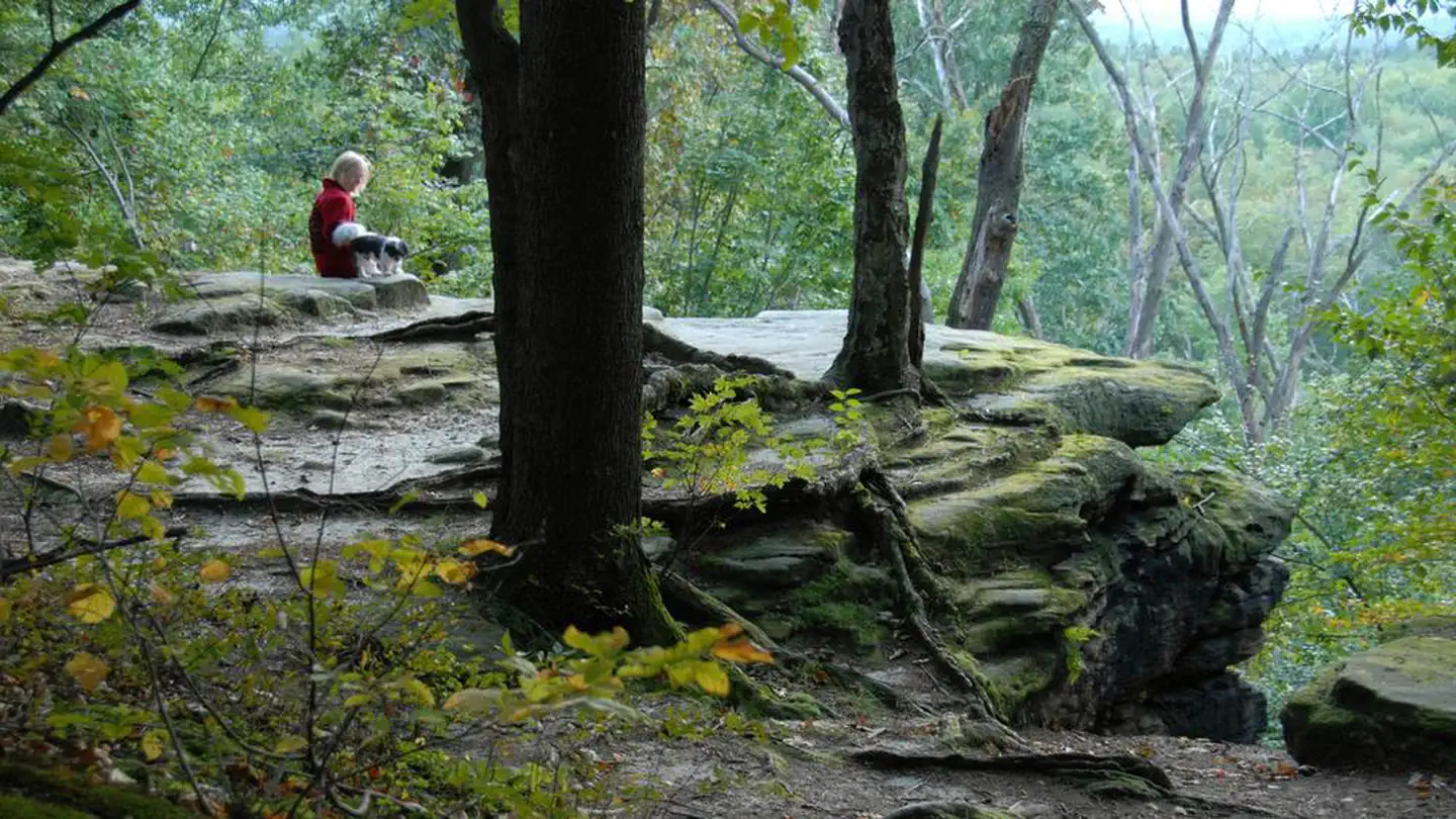 CUYAHOGA VALLEY NATIONAL PARK PICNIC SHELTERS