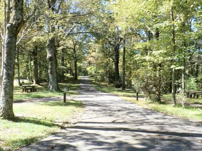 RV loop at Doughton Park.