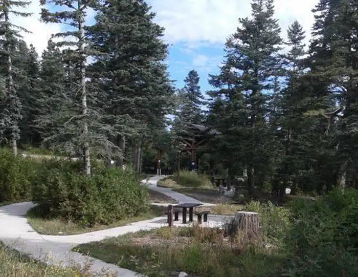 Lone table in dispersed picnic area