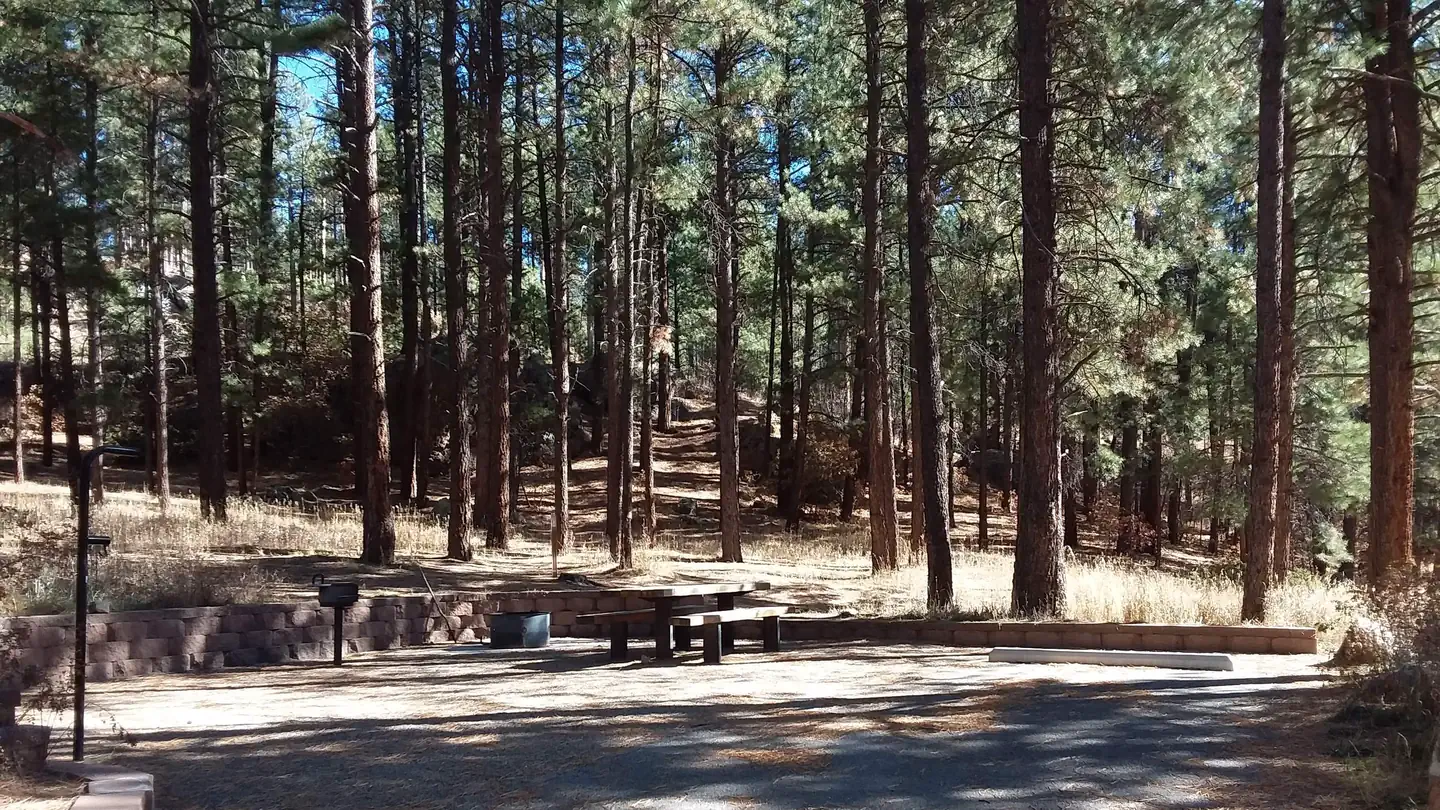 SAN ANTONIO CAMPGROUND