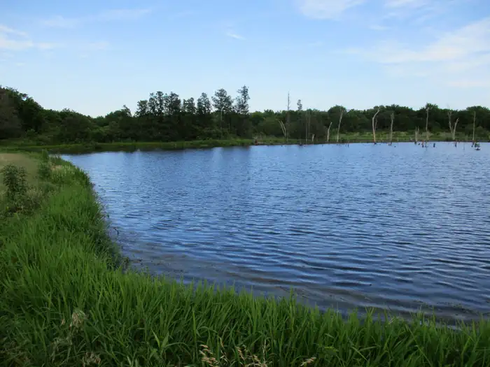 Blue Bill Fishing Pond