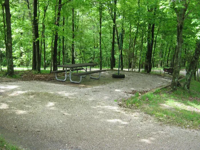 Coon Creek Camping