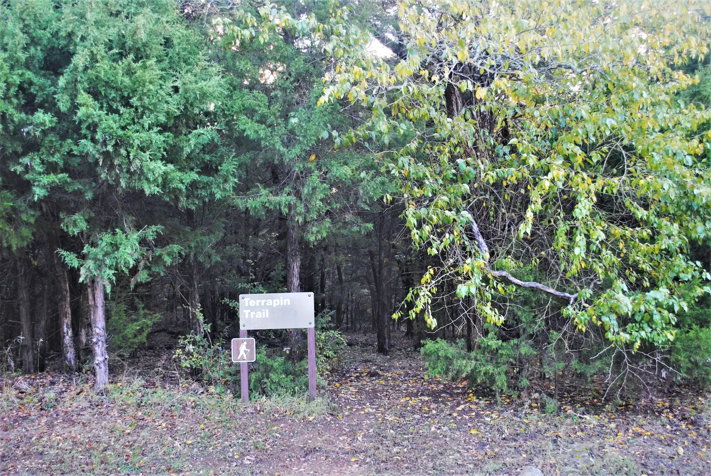 Terrapin Trail
