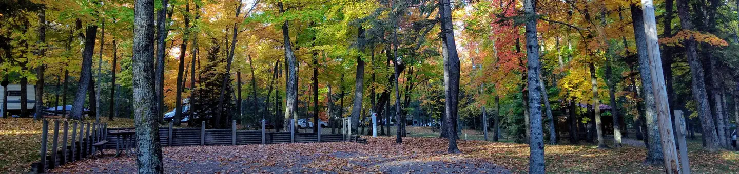 Leech Lake Recreation Area Campground Fall Campsite