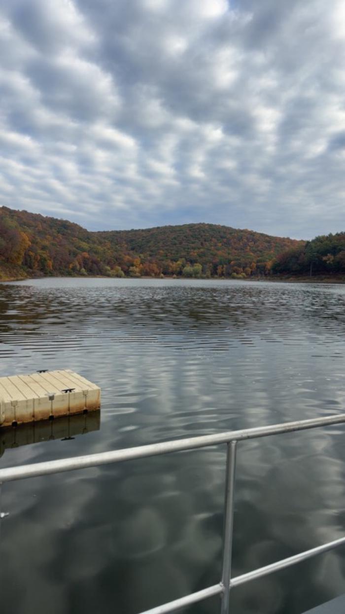Start of Fall foliage