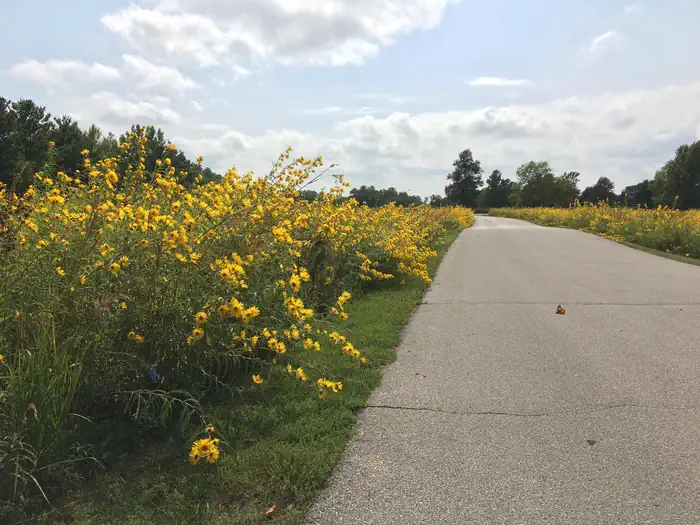 PRAIRIE FLOWER RECREATION AREA 3