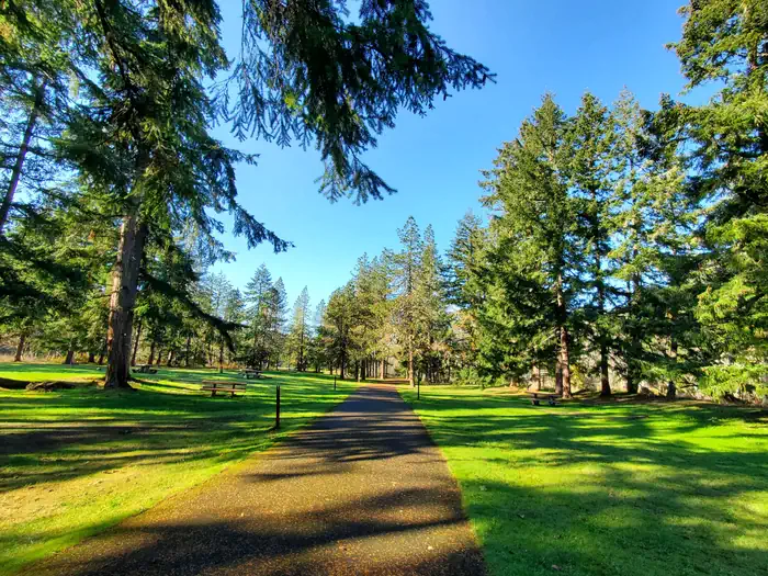 Schwarz park road with campsites