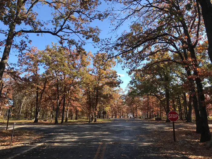 Spencer Creek in the fall