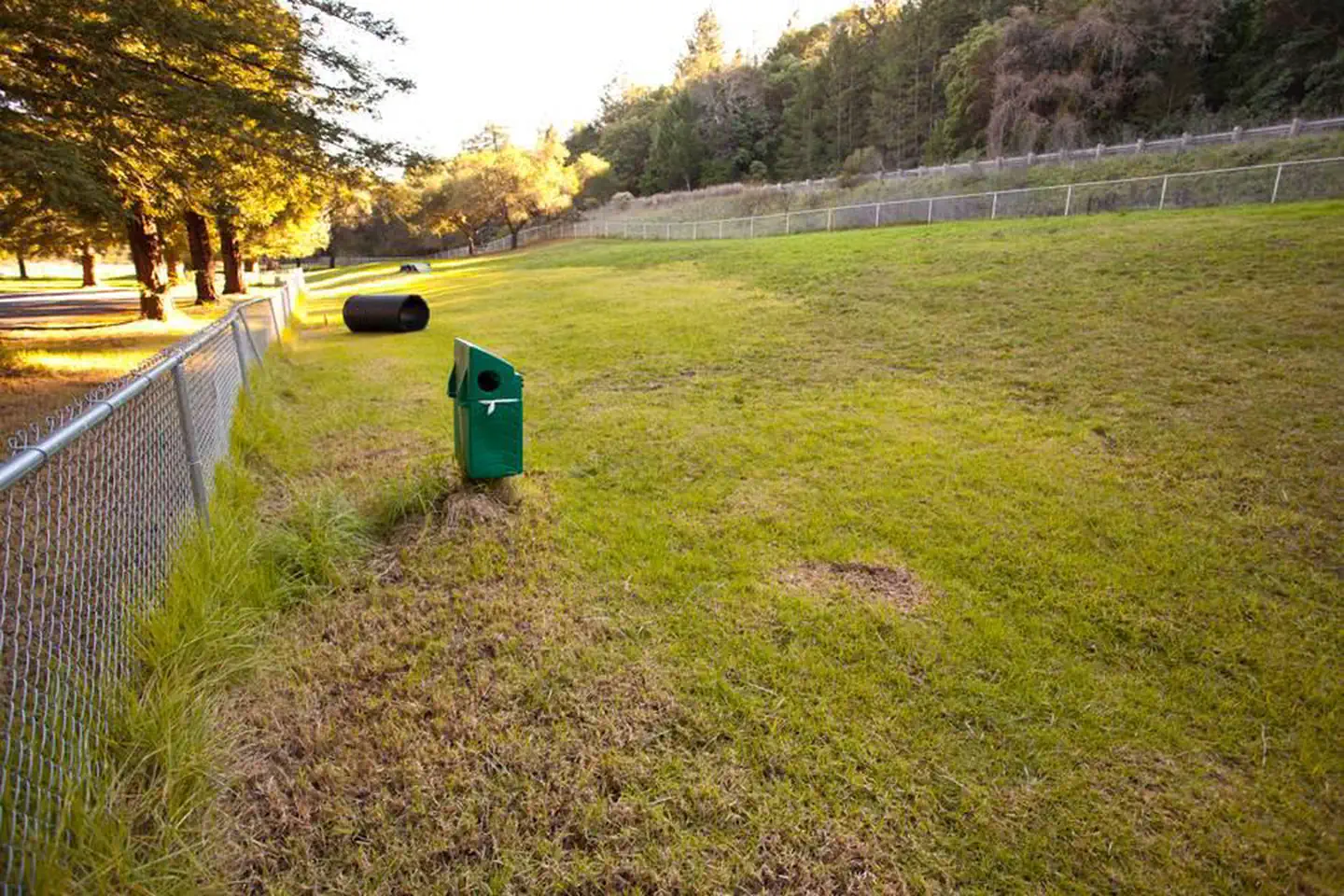 Huge Fenced Dog Park with agility eqipment