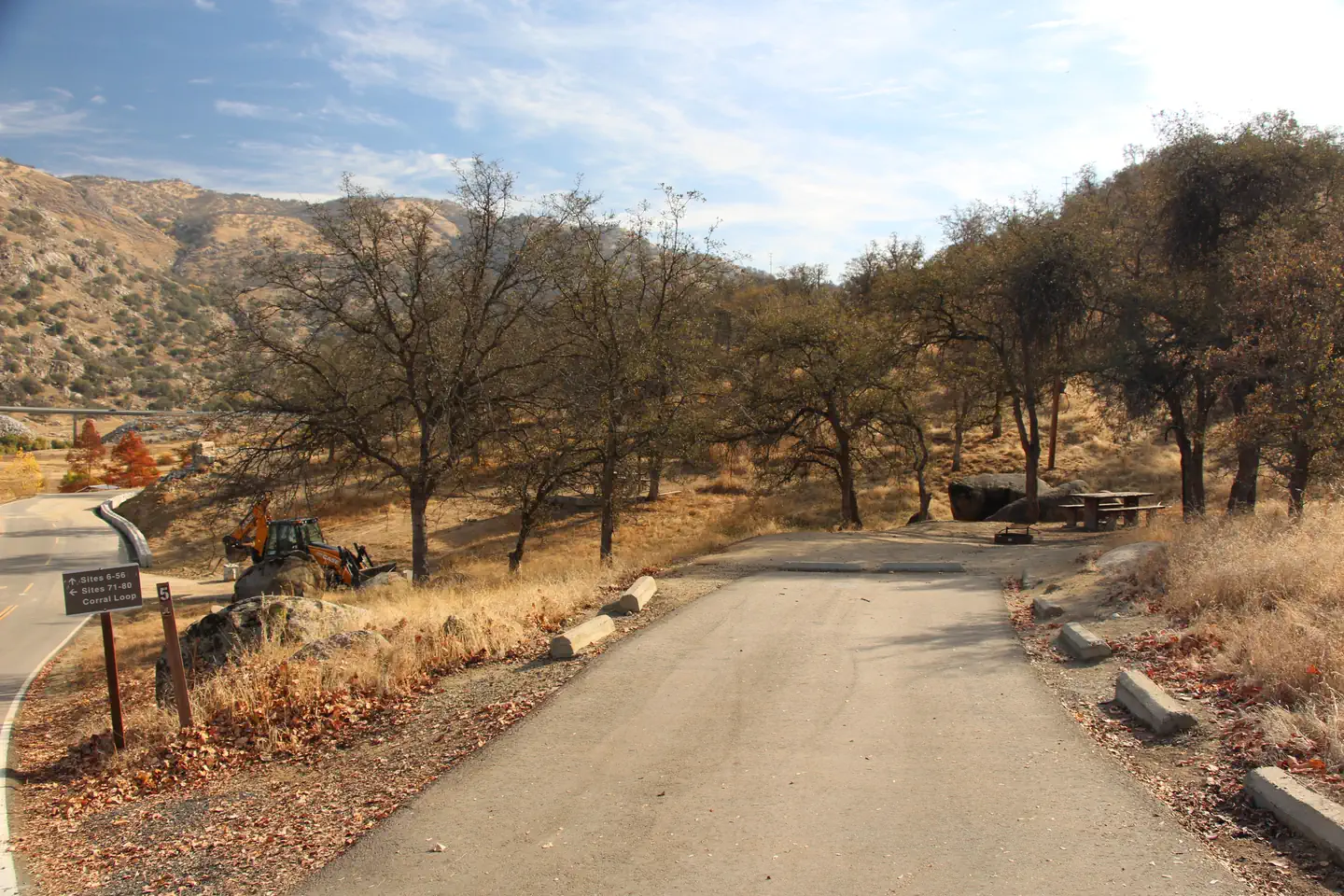 Campsite #5