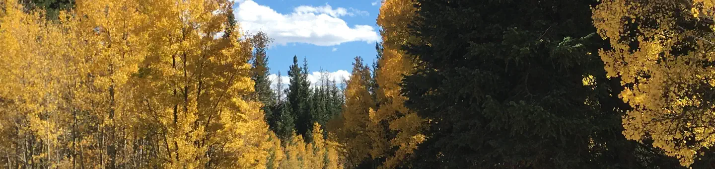 ASPEN (CO)
