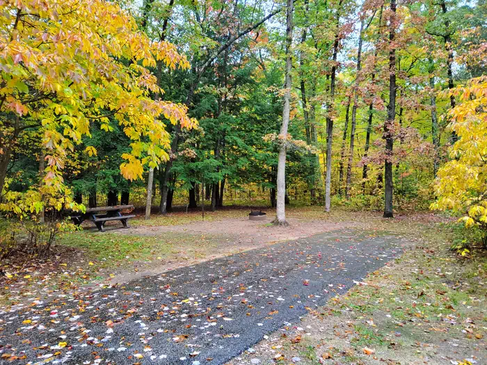 Campsite 1