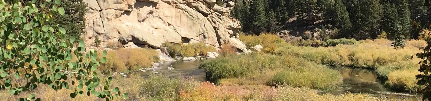 COVE CAMPGROUND