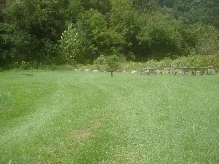 Group Site #1