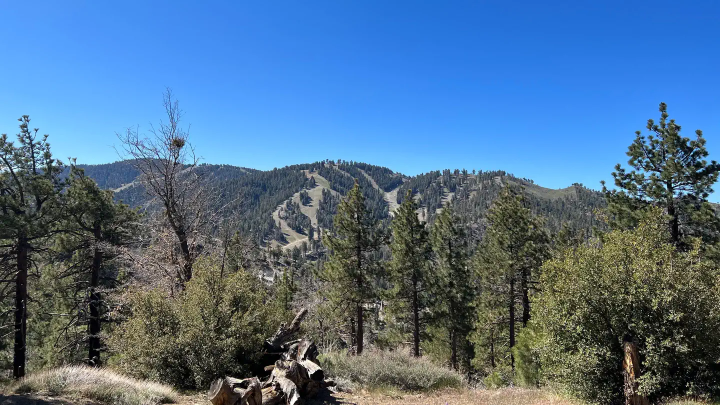 TABLE MOUNTAIN (ANGELES)
