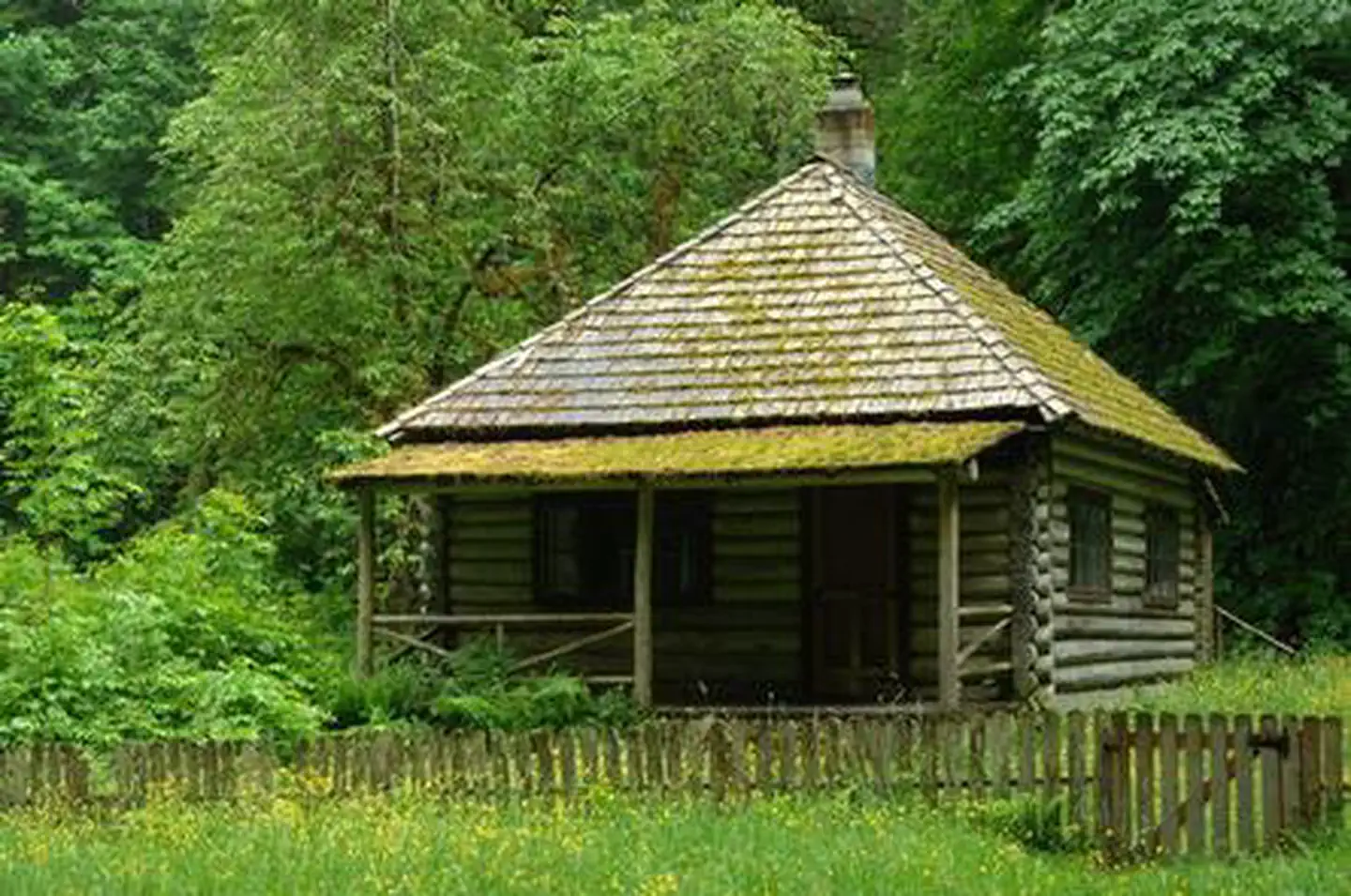 INTERROREM CABIN