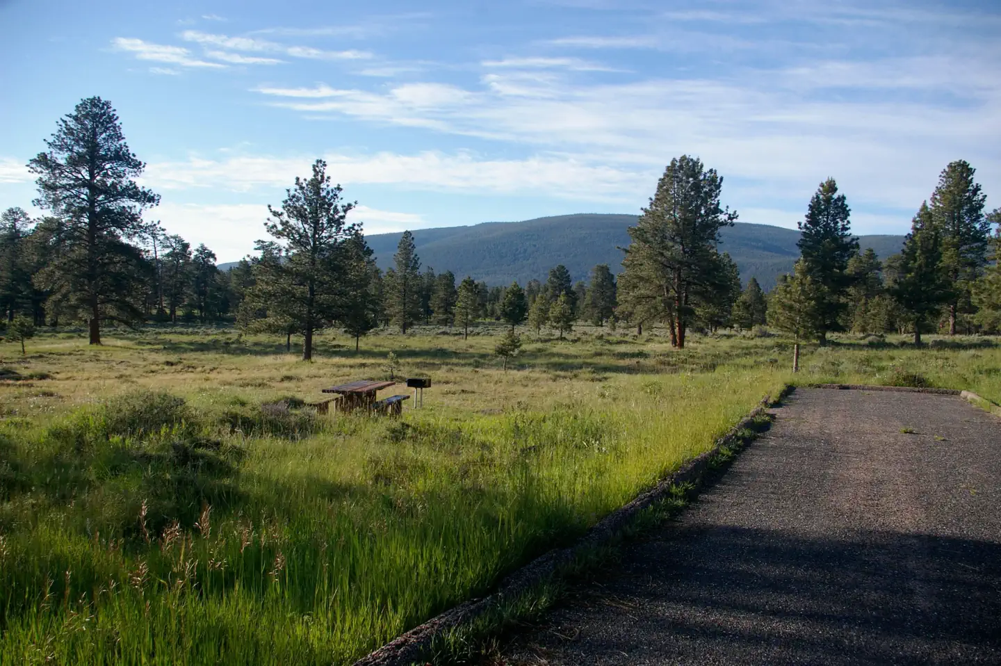 This site has a picnic table and grill in a grassy area to the side of the parking slot. There are a few trees that are in the background.