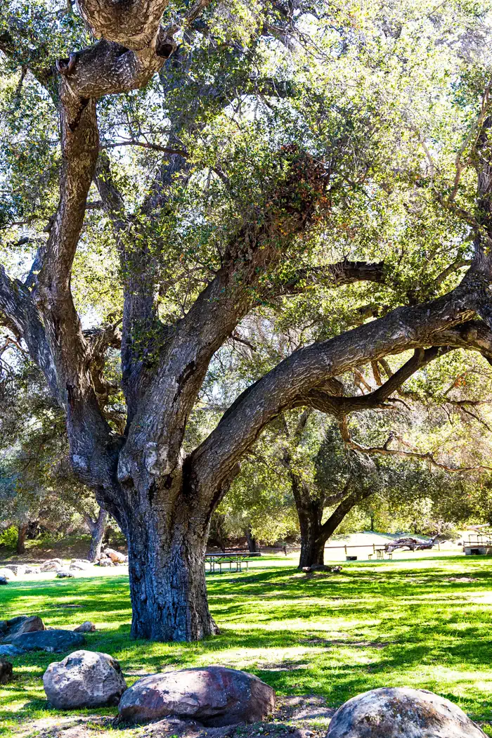 A photo of facility PARADISE CAMPGROUND