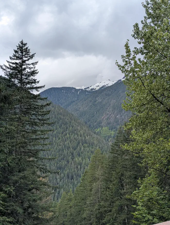 VIEW FROM MINERAL PARK